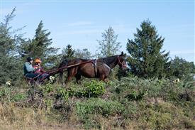 LR-WRF 10182025 Retreat-6392